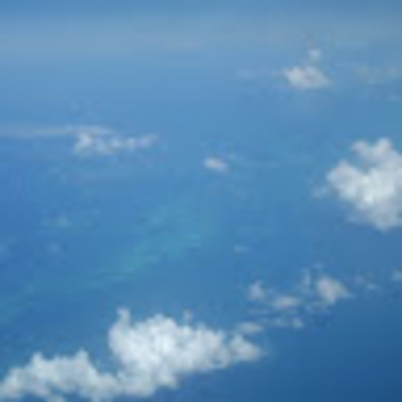 Meet your Posher, Amir - Picture 1 of 1